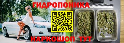 стаф Ирбит